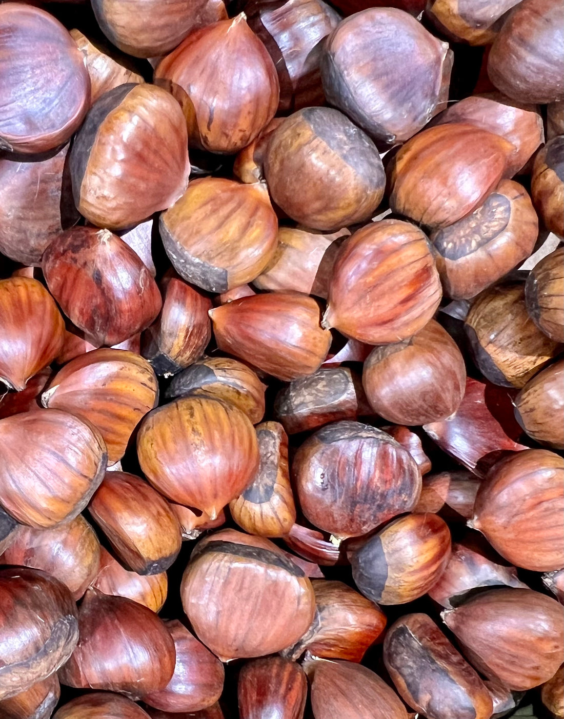 chestnuts