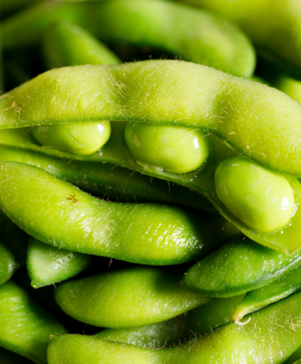 Soy Beans
